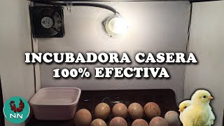 Elabora tu propia incubadora casera de huevos FUNCIONA 100%