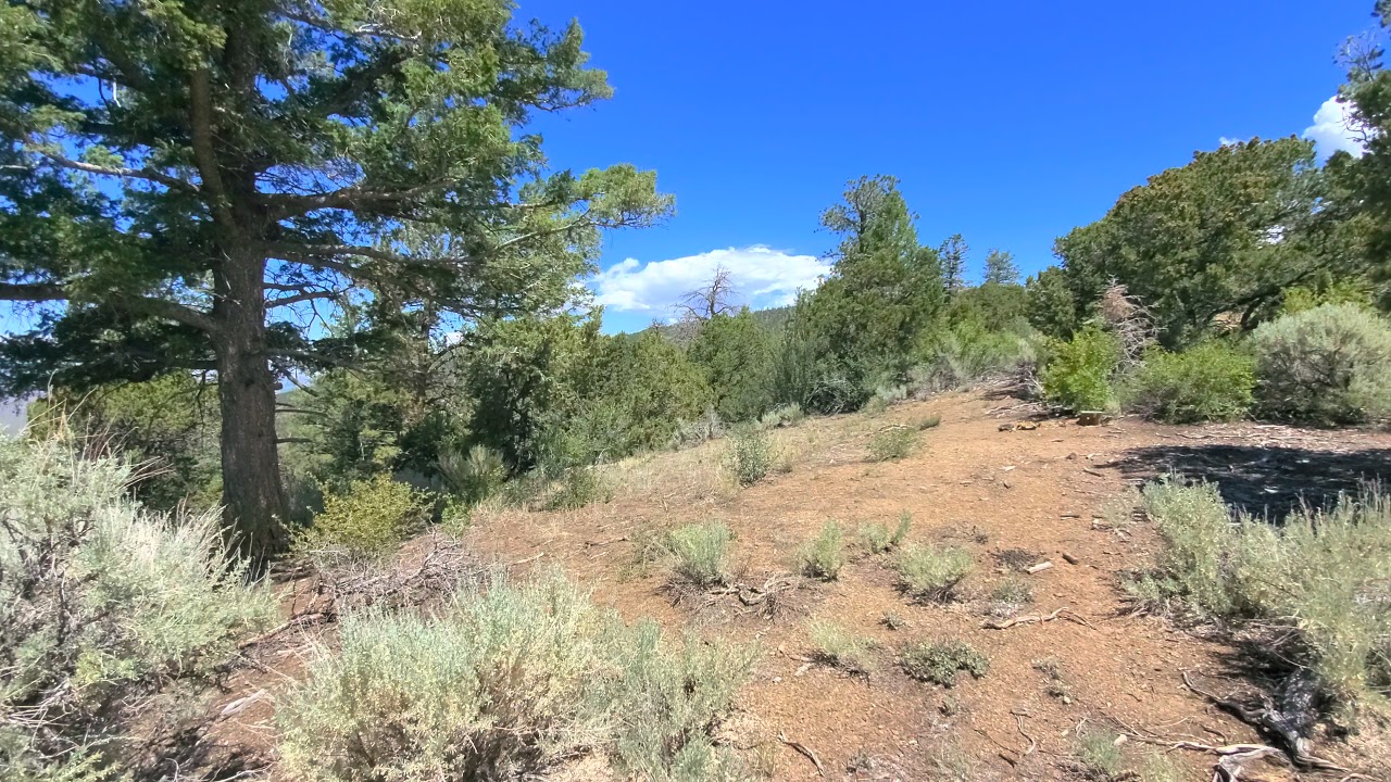10.09 Acres Colorado Land For Sale YouTube