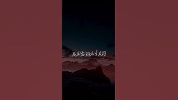 تلاوة جميلة _ القارئ ياسر الدوسري