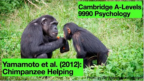Yamamoto et al. (2012): Chimpanzee Helping - A-Lev...