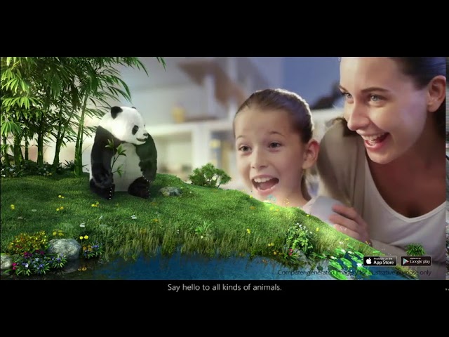 контакты для сотрудничества