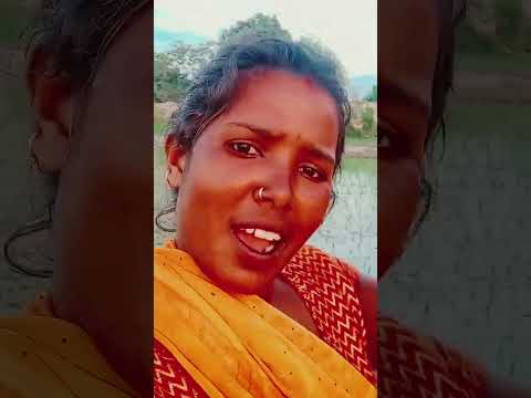 Hindisong Song Bollywood Nayenawelidulhanparpehledin Music