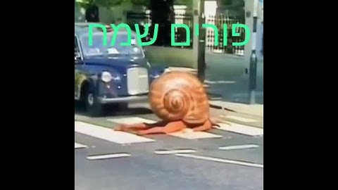 חג פורים שמח!
