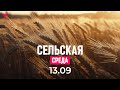 Сельская среда | 13.09.2023