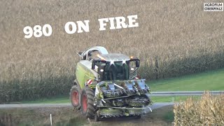 980 on Fire #4 - Der King im Mais - Häckseln nonstop von früh bis spät -LU Spitzner-Claas Jaguar 980