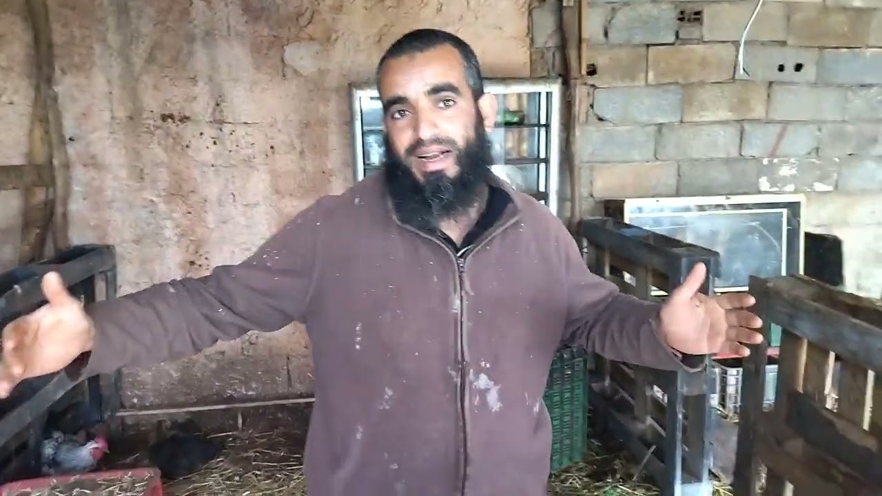 من مدينة الرحمة إلى القرية 🇲🇦 تعرف على أسطورة تربية آلالبين في المغرب 🇲🇦 أحمد أبو عبد الرحمن