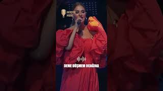 Derya Bedavacı - Deme Resimi