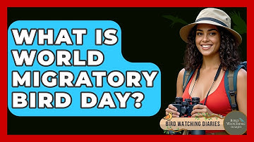 What Is World Migratory Bird Day? - Bird Watching Diaries