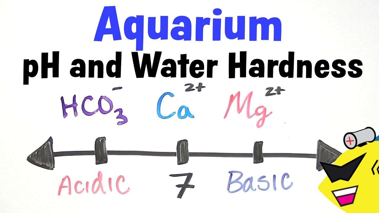 ph of aquarium water