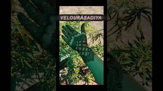 #henna #veloura Sadiya# Henna artist