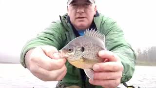 Spring Bluegill fishing - S.W. Michigan - 2020