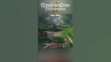 😱 KCD2 Developers Knew You Would Try This #kcd2