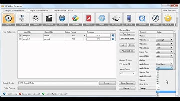 Convert SWF To FLV