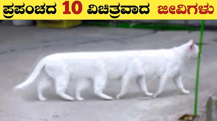 Unique Animals In The World | Unknown Facts In Kannada | Think Forever