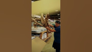 Custom framing overnight!