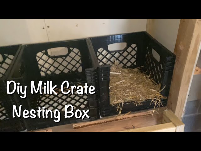 We built nesting boxes out of milk crates - YouTube