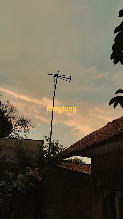 MOMONON - SI ACENG #reggaemusik