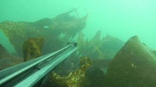 Session chasse sous marine à l'Île de Ré du 4 au 8 août 2013