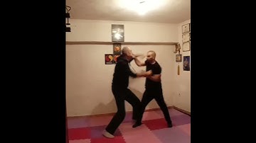 JEET KUNE DO TRAINING  SELF DEFENSE TECHNIQUES