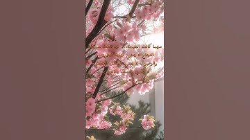 ﴿قَالَ لَا تَخَافَآ ۖ إِنَّنِى مَعَكُمَآ أَسْمَعُ وَأَرَىٰ﴾#تلاوة_قرآن#باك #تلاوة_قرآن#اكسبلور