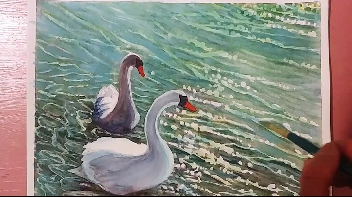 Swans in the water , watercolour painting