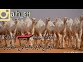 شيلات عتابه