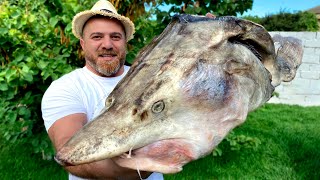 Canavar Balıq Baş Çorbası - Beluga nərə balığı UKHA şorbası resepti