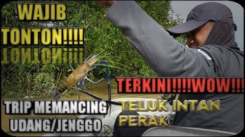 MEMANCING UDANG GALAH DI SUNGAI PERAK TELOK INTAN TRIP | 11 SEPT 2020