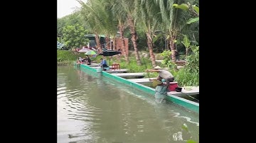 Câu cá chép hồ câu Bảo Trân - Bình Dương #shorts