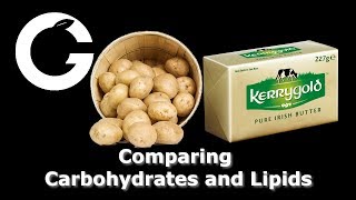 Comparing lipids and carbohydrates - More than just fuel for our cells