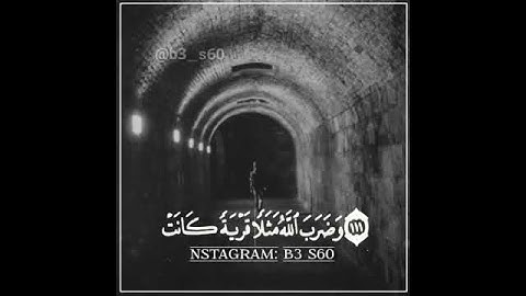 تلاوه قصيره - القرآن الكريم - مقاطع انستقرام دينيه - عبد الرحمن مسعد