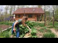 New life on the homestead  storm damage gardening  baby chicks homesteading off grid may 2024