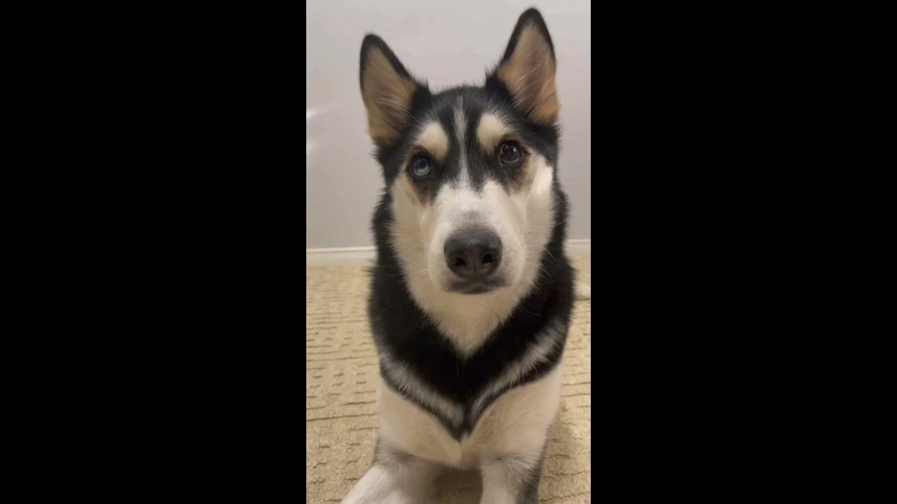 What Happens When I Ask For A Kiss 