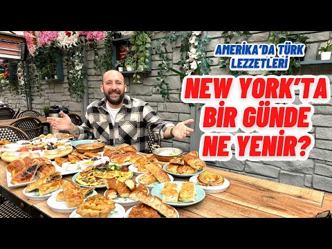 Video: Coyote, Amerika'da yaşayan bir çayır kurdudur