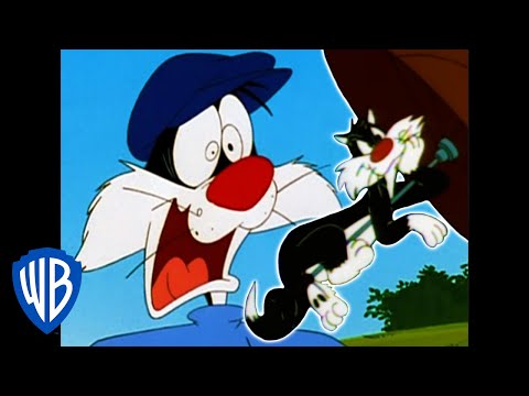 Looney Tunes | Best of Sylvester | WB Kids