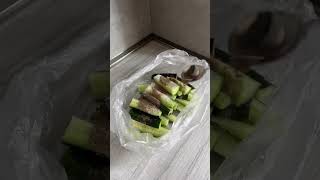 Вкусные, хрустящие, малосольные огурцы 🥒