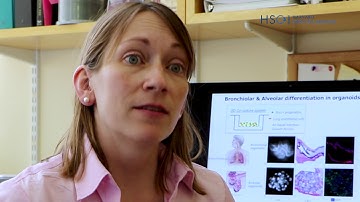 Carla Kim: Using lung organoids for personalized medicine