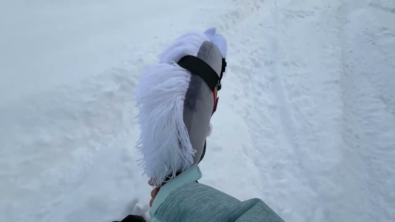 Schnee Ausritt (Kleine Runde)☺️