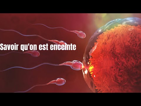 Vidéo: 4 Façons De Détoxifier Votre Maison Si Vous êtes Enceinte