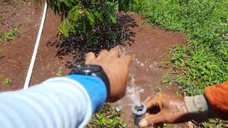 Belajar Disain Kebun Part 6 'Test Running Irigasi'