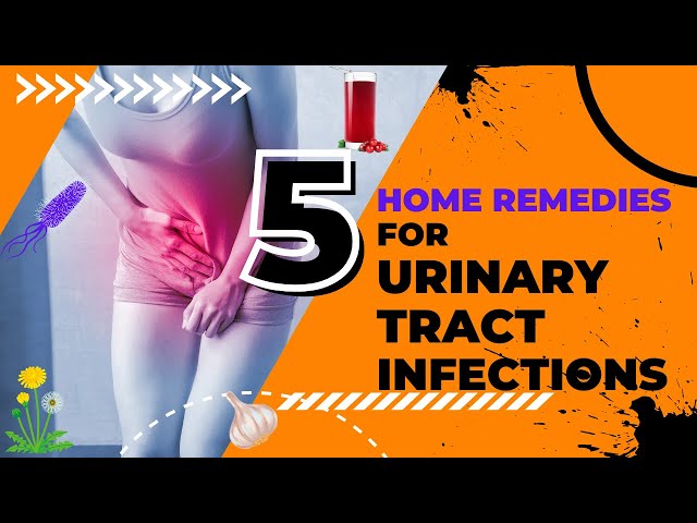 5 Home Remedies for Urinary Tract Infections | UTI  Home Remedies | UTIs class=