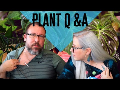 husband-and-wife-plant-q&a-|-plants-&-couple-tattoos