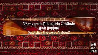 Yürüyorum Dikenlerin Üstünde (Anatolian Electronic Ambient) - Âşık Kaplanî Resimi