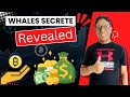 Bitcoin analysis  doge and ftm coin update  big whales secrete revealed
