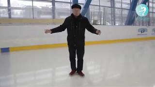 Мастер-класс Мишина А.Н. в приложении inSkate