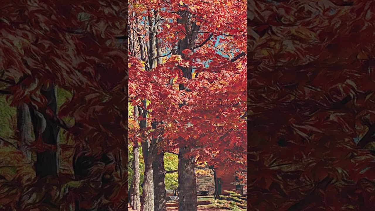 Autumn Forest Trail – Frame TV Art