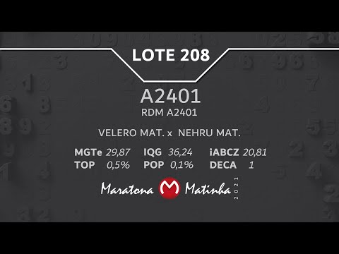 LOTE 208 Maratona Matinha