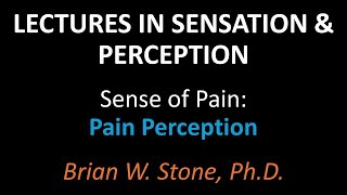 Sensation and Perception - Pain Pt1 - Pain Perception