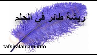 Tafsir Al Ahlam تفسير الأحلام محمد بن سيرين في رؤيا ريشة طائر تفسيرالاحلام