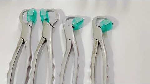 physics forceps molar series